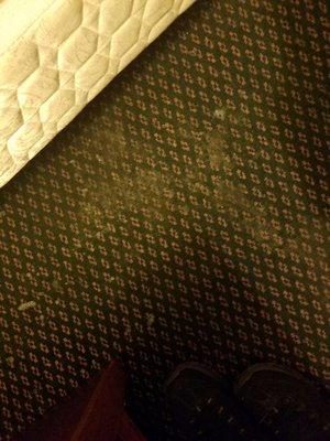 super clean! you could eat off this carpet! vomit!