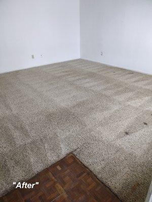 Carpet After