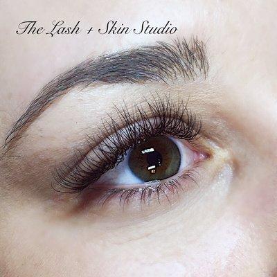 VOLUME LASHES