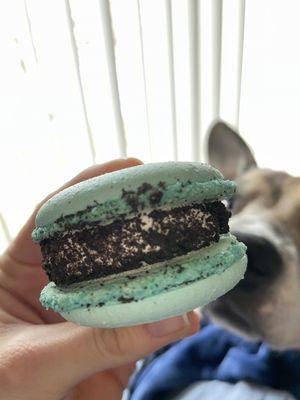 Macaron