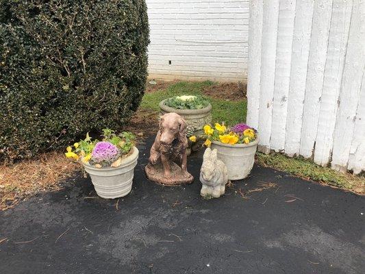 More decorative planters.