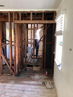 Mold damage on the interior structure of the home