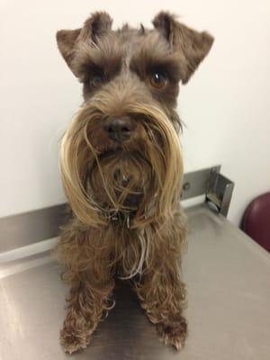 No shot on Winnegan's very wrump,, aye Doc??