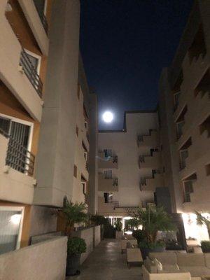 A full moon in the courtyard,