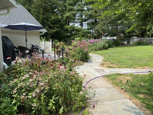 Back paths and patio