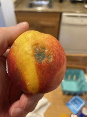 Mold on fruit