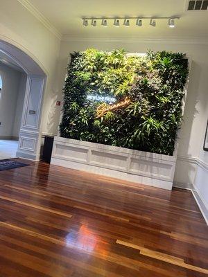 Plant wall in the lobby