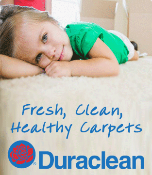 Fresh, Clean, Healthy carpets in Lowell MA