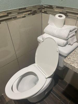 Detached toilet seat