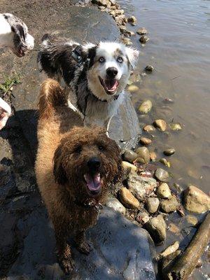 Pack Adventure at Lake Roland