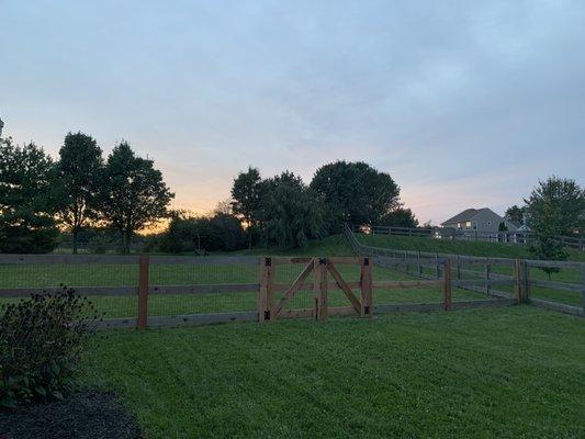 Kentucky board fence.