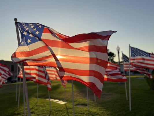 Love how they always put up all the flags for Veterans Day!