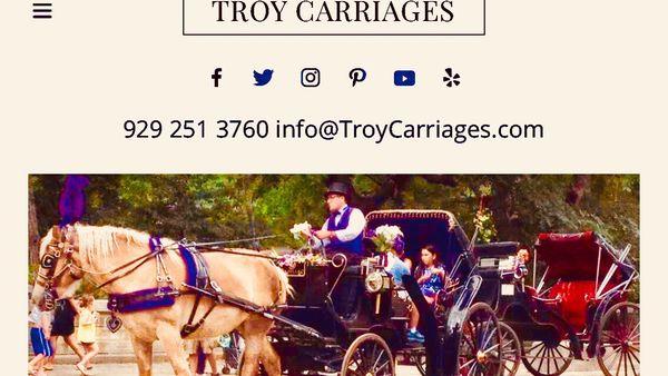 #Troy #Carriages for #Horse #Drawn #Cab #Rides in #Central #Park #NYC #book #online