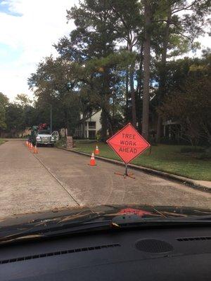 Jones Toad Tree Service hard at work!