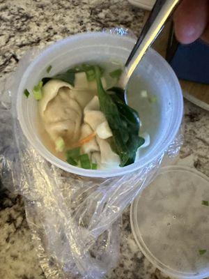 BEST WONTON SOUP ANYWHERE