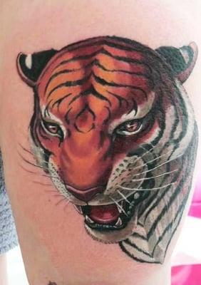 tiger by suzanne