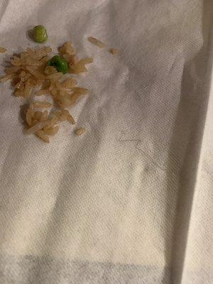 Hair found in my fried rice, almost ate it :(