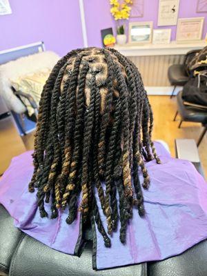 Two strand twists on locs