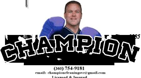 Champion Cleaning Services