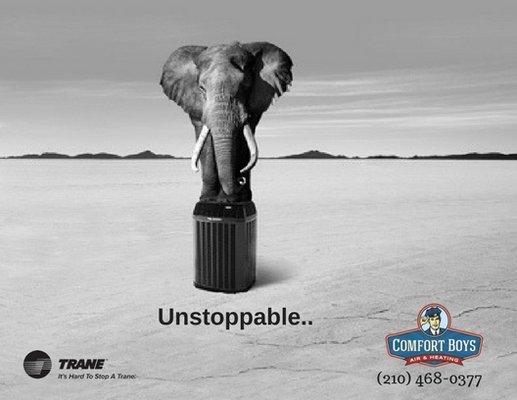 "Hard to stop a Trane"