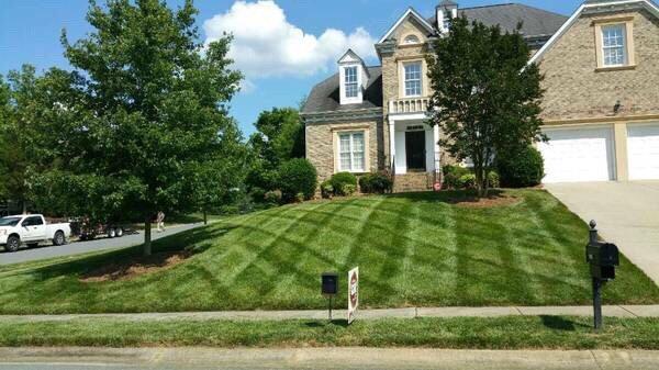 Mowing Stripes