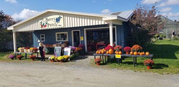 Here's an outside shot of the  Berry Patch. Mums a plenty. Pumpkins. Great stuff inside. There is amble parking as well.