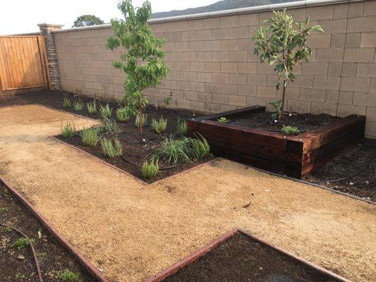 Decomposed granite and planter box.