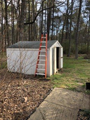 Before shed demolition