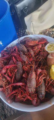 Crawfish