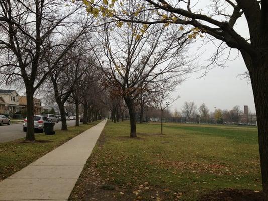 November 2012, fall has begun facing south.