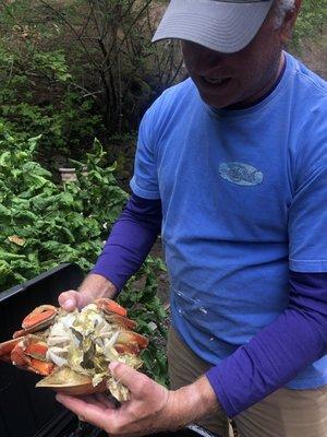 Yum! Making crab cakes soon! Fresh always and ready to cook!