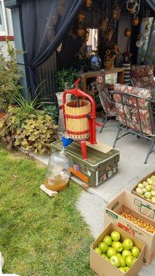 turning apples into delicious cider!