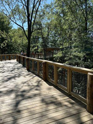 Canopy walk