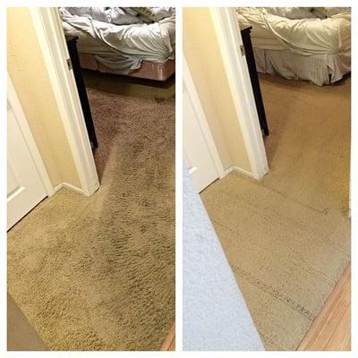 Carpet Cleaner Las Vegas