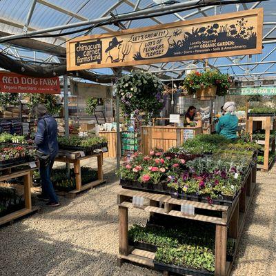 Inside the greenhouse