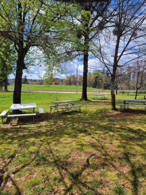 Picnic tables