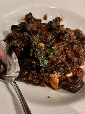 Squid ink pasta with octopus ragu