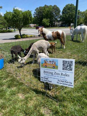 More petting zoo - animal encounters experience