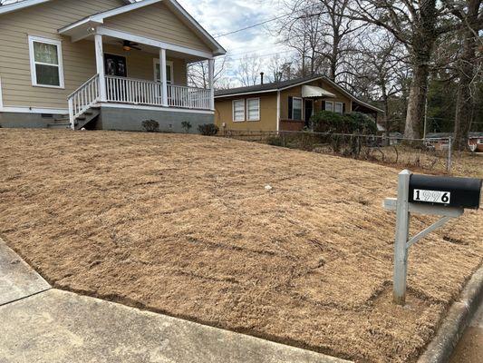 New Sod Installation by Golden Season Landscaping.