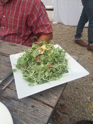 Delicious, locally sourced salad