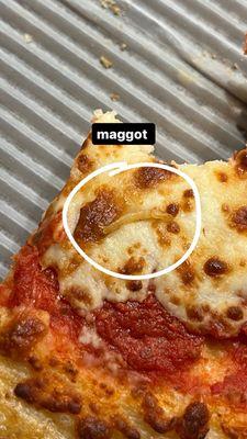 Maggot Pizza