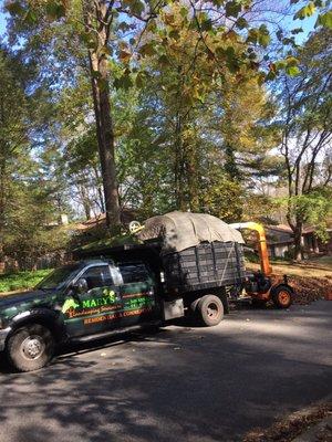 Mary's Landscaping Services Inc  Leaf removal