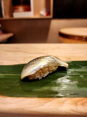 kohada (gizzard shad)