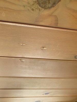 Where nails were driven through my ceiling. 12 other places as well. Try and match that amazing 1954 stain...