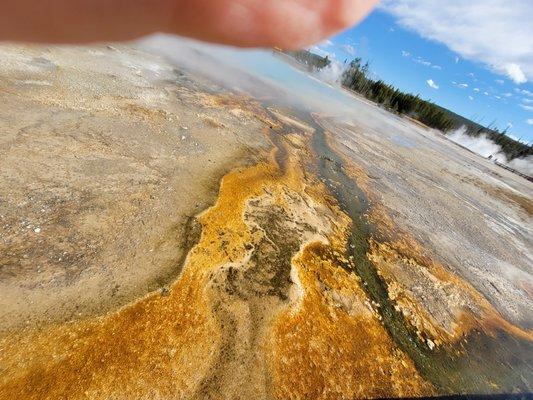 Midway Geyser Basin
 Grand Prismatic Spring