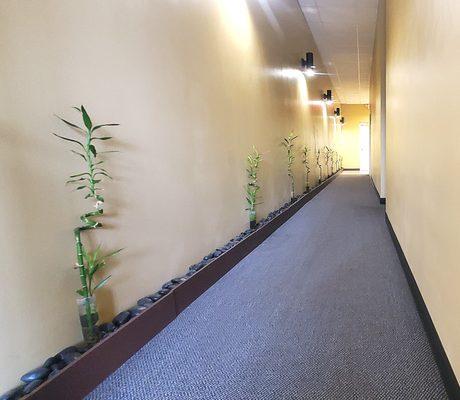 Hallway to Massage Rooms