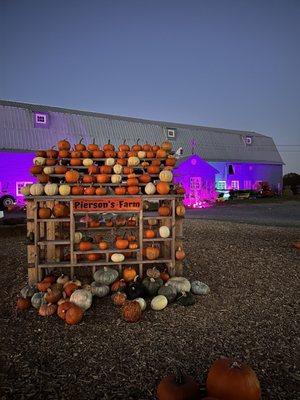 Beautifully decorated grounds