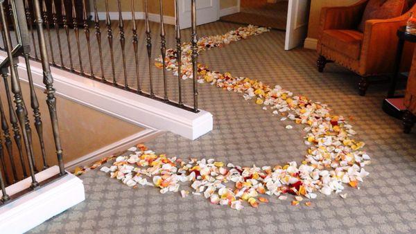 Rose petals room decorations