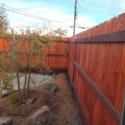 New fence and landscaping we are working on