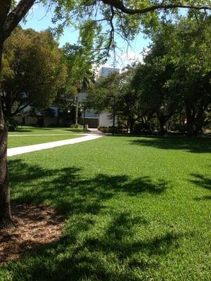 Middle campus - Beautiful & green!